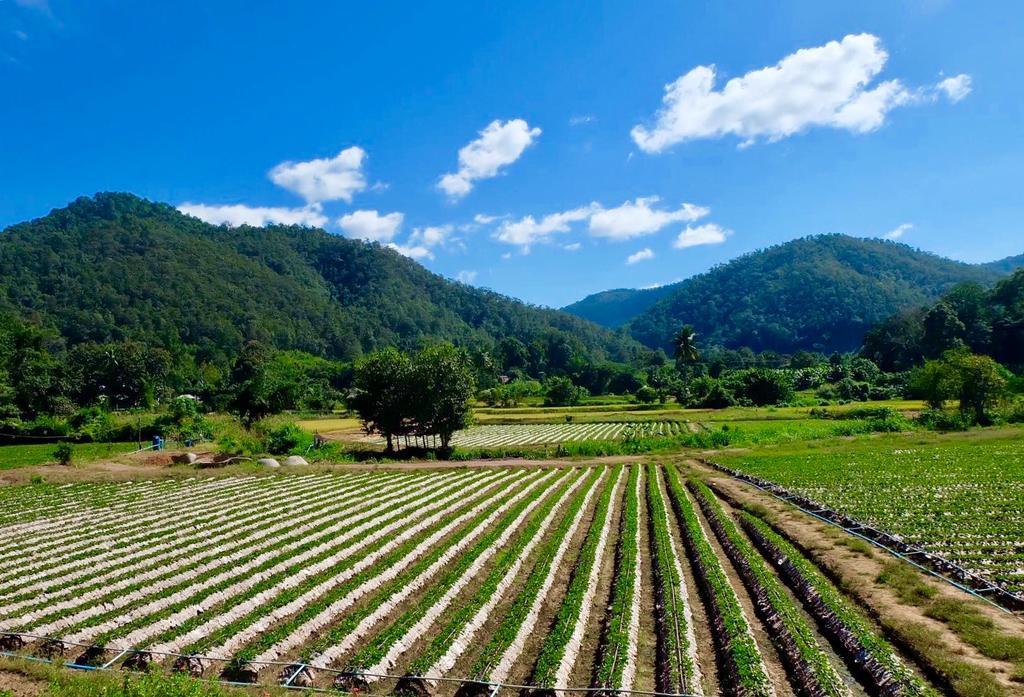 Wongwan Farm Villa Samoeng Екстериор снимка